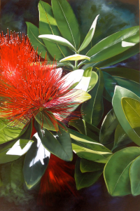 'Pohutukawa Dreams' by Vicki Axtens (SOLD)