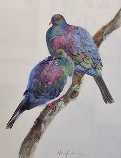 'Two Kereru' by Eliza Xu (SOLD)