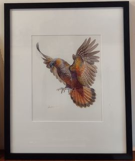'Kaka in Flight' by Eliza Xu (SOLD)