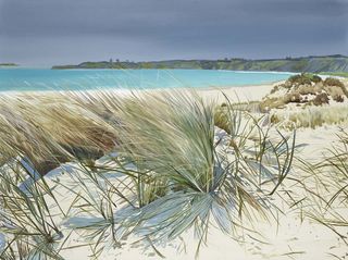 'Sand Dunes Kari Kari' by Arna Marshall