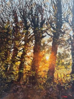 'Greytown Sunrise' by Iwen Yong