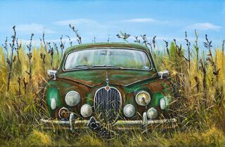 'Old Jag in the Grass' by Graham Young