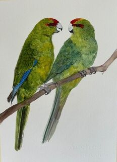 'Two Kakariki' by Eliza Xu (SOLD)