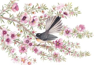 'Piwakawaka Fantail' by Eliza Xu