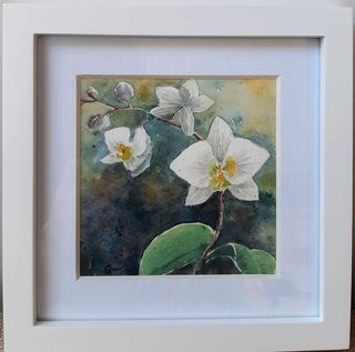 'Orchid Flower 1' by Samantha Qiao
