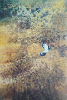 'Erosion with Peace Messenger' by Miranda Woollett (SOLD)
