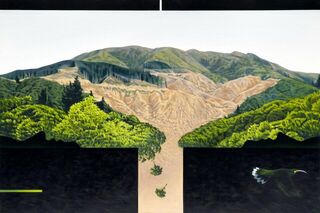 'Lost Messenger' by Miranda Woollett