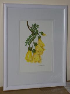 Botannical Drawing 2 by Janet Marshall (SOLD)